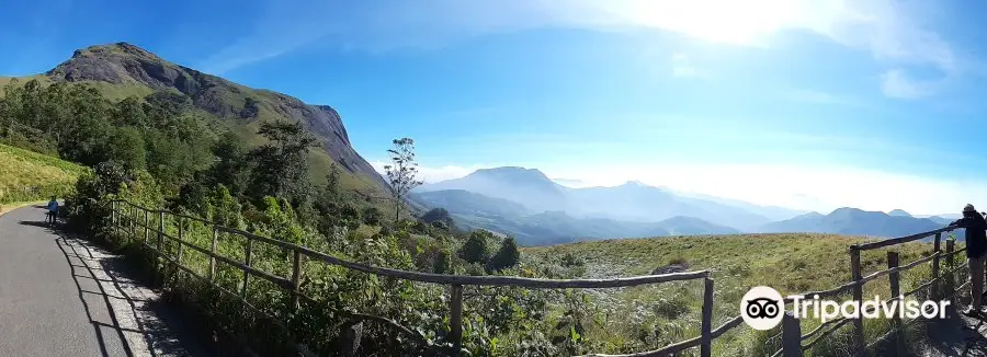 Rajamalai (Eravikulam) National Park