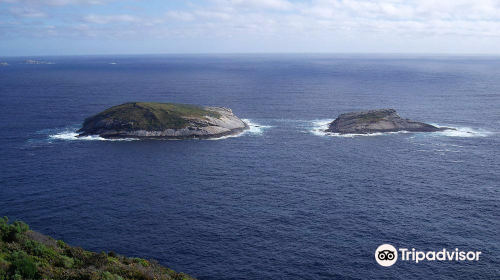 Sharp Point Lookout