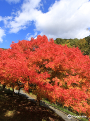 Momiji Lake