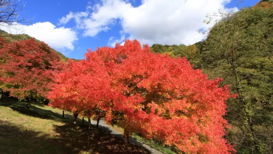 Momiji Lake