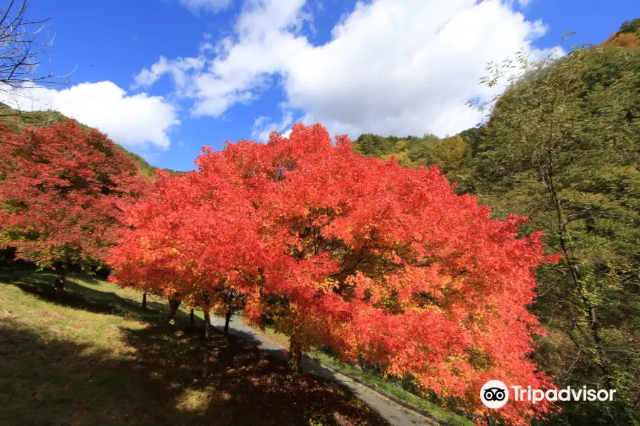 Momiji Lake