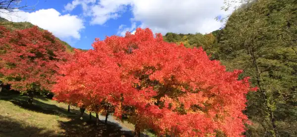 箕輪町のホテル