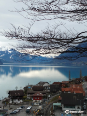 Alpenwildpark Interlaken