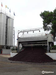 Cantina Albea winery and museum