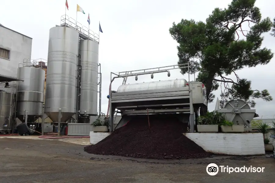 Cantina Albea winery and museum