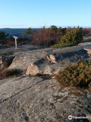 Tulliniemi Nature Path