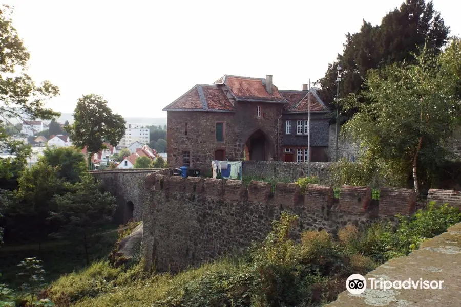 Friedberg Castle