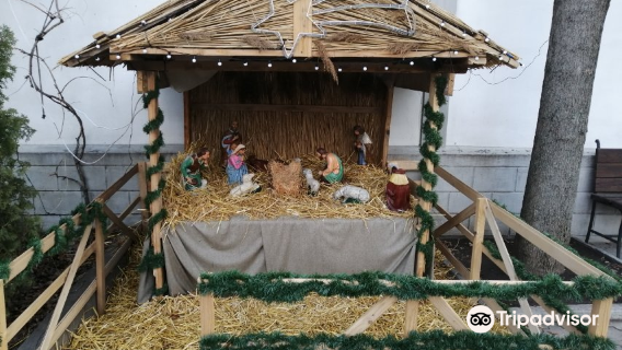 Cathedral of Divine Providence