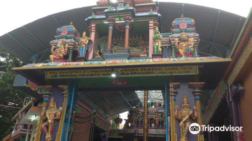 Sri Anantha Padmanabha Swamy Temple