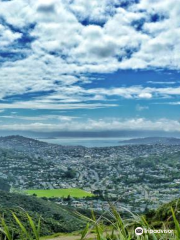 Makara Peak Mountain Bike Park