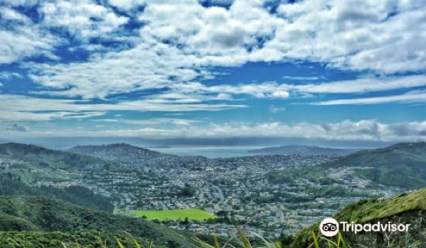 Makara Peak Mountain Bike Park