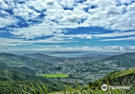 Makara Peak Mountain Bike Park