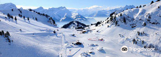 威拉爾-蘇-羅倫 自由行套票