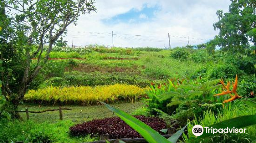 La Mesa Eco Park