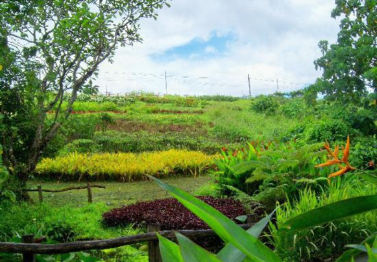 La Mesa Eco Park, Quezon City