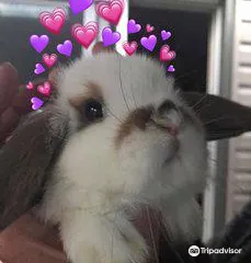 Griffith Island Lighthouse