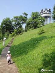 Taisetsu Observatory