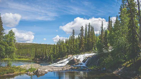 Cameron Falls Trail