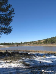 Kaibab National Forest