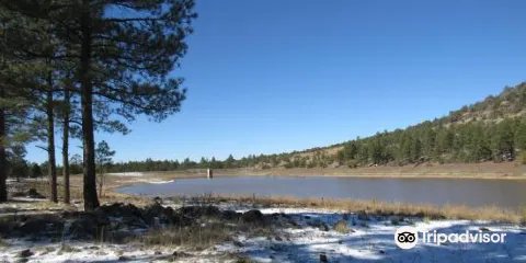 Kaibab National Forest