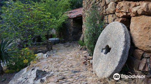 Geopark Naturtejo