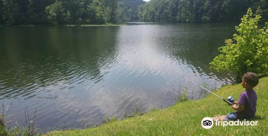 Hotels in Joelton