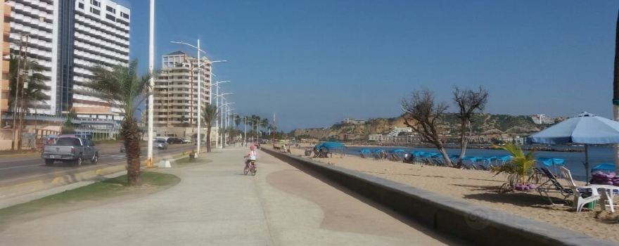 Lecheria