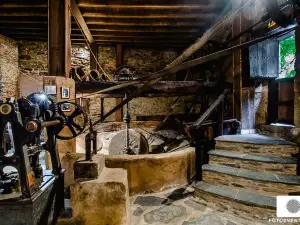 Museo del Aceite Molino del Medio