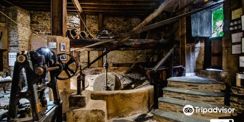 Museo del Aceite Molino del Medio