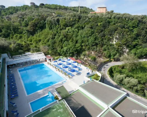 Best Western Hotel la Solara Hotels near Leonelli's Beach
