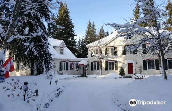 九洞住宿加早餐旅館