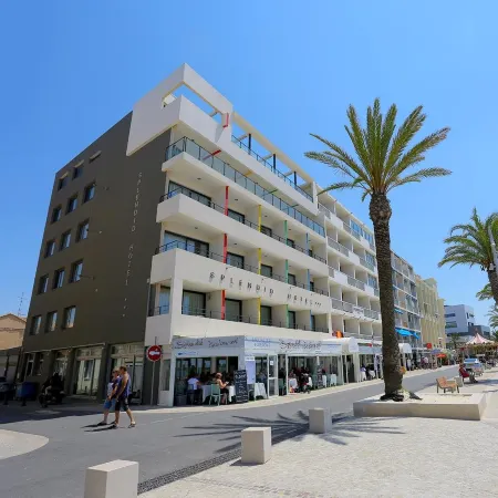 Hôtel Restaurant Splendid Camargue Отели рядом с достопримечательностью «Observatoire»