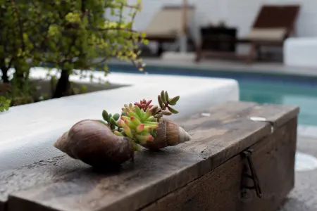 Paternoster Dunes Boutique Guesthouse