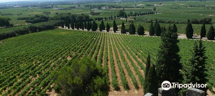Hostellerie du Château des Fines Roches Hotels in Vaucluse