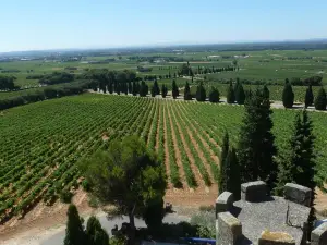 Hostellerie du Château des Fines Roches