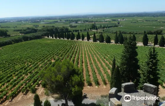 菲諾士城堡酒店