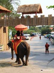 Ayothaya Elephant Village