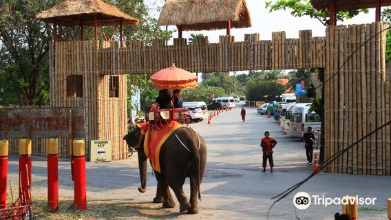 Ayutthaya Elephant Palace & Royal Kraal