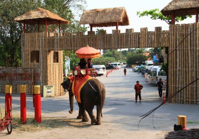 Ayothaya Elephant Kraal