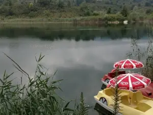 Lake Gaga