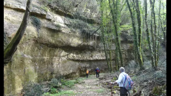 Alta Valle del torrente Carfalo