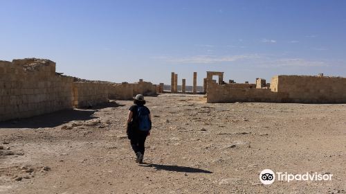 Nabatean Avdat Acropolis