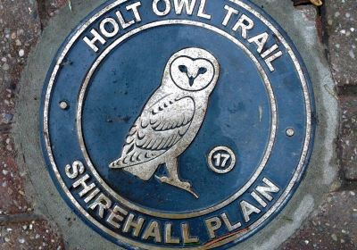 Holt Owl Trail