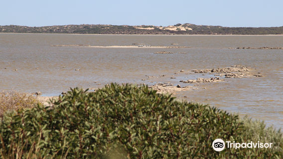 Jack Point Observatory Deck