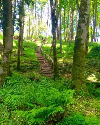 Municipal District of Baltinglass