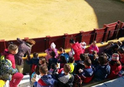 Palaeontology Museum of Estepona