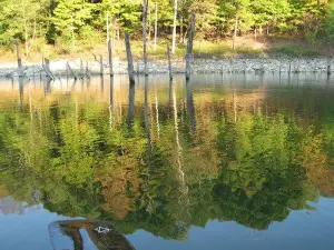 East Fork State Park