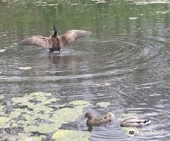 Cave Spring Park