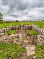 Temple of Mithras, Carrawburgh - Hadrian's Wall