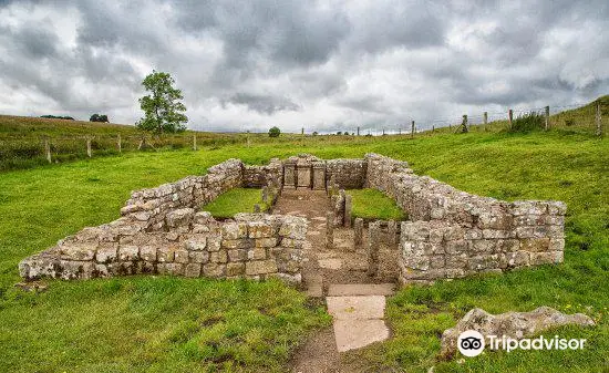 Temple of Mithras, Carrawburgh - Hadrian's Wall